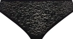 SERENNE BRIEF