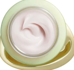 SHISEIDO Future Solution Legendary enmei cream 50 ML