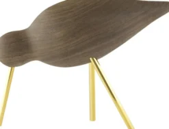 Shorebird
