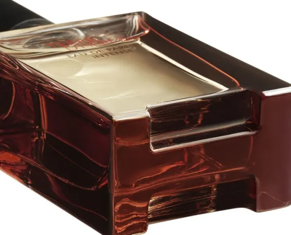 Terre D'hermès Eau de Parfum Intense Natural Spray