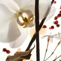 Vanilla Skin - Eau de parfum i reseformat