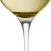 Vinglas Sauvignon Blanc